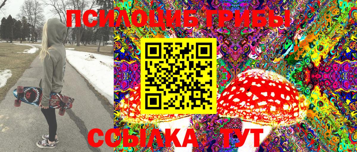 Клин  Псилоцибиновые грибы Psilocybine cubensis  Вход с VPN  Псилоцибиновые грибы мицелий 