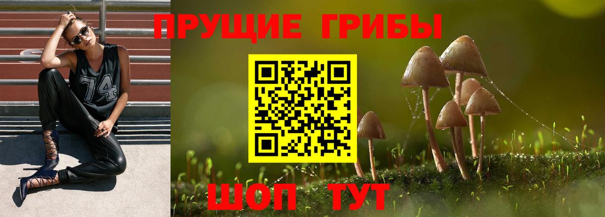 Галлюциногенные грибы мухоморы Клин